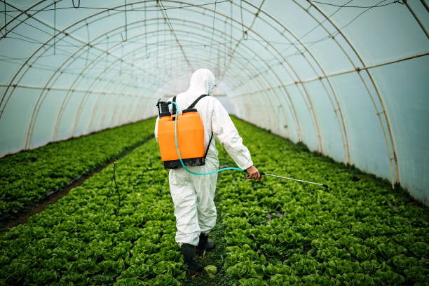 Best Local Pest Control Services  in Buffalo Center, IA