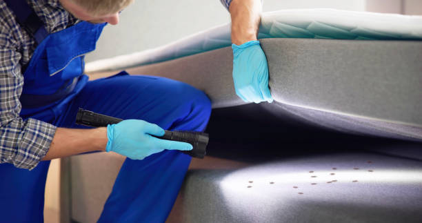 Best Mosquito Control Services  in Buffalo Center, IA