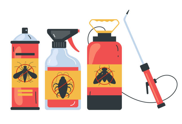 Reliable Buffalo Center, IA Pest Control Solutions