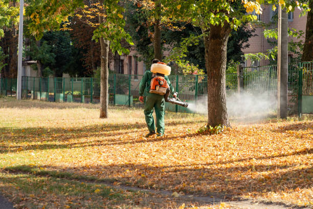Pest Prevention Services in Buffalo Center, IA
