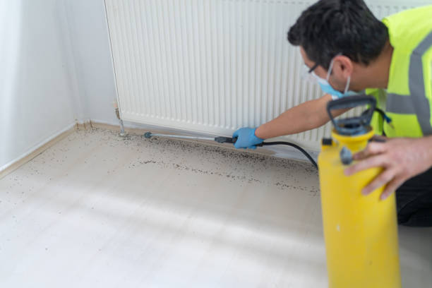 Best Bed Bug Extermination  in Buffalo Center, IA