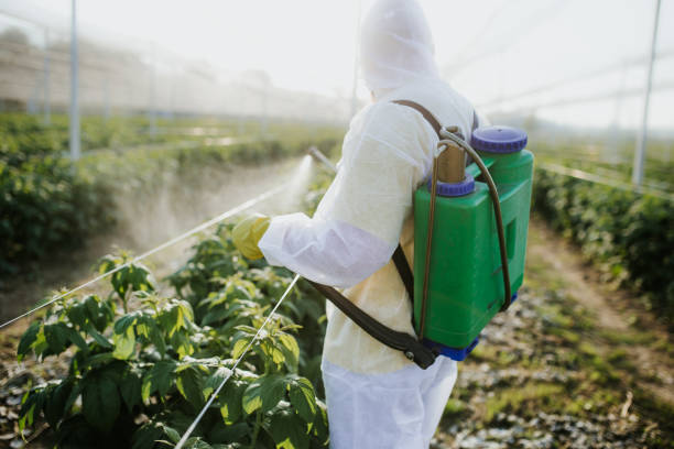 Insect Control in Buffalo Center, IA
